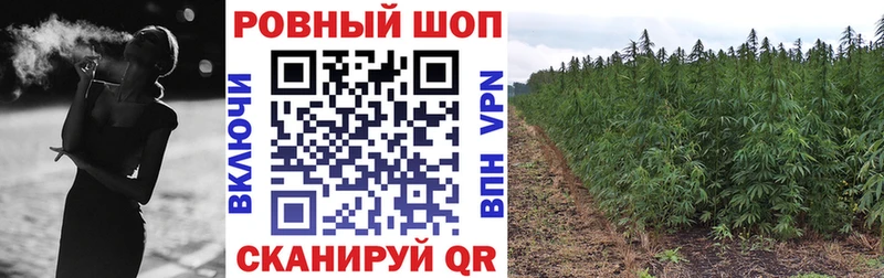 Названия наркотиков Гурьевск ГАШИШ  Alpha PVP  Псилоцибиновые грибы  АМФЕТАМИН  Каннабис  Мефедрон 